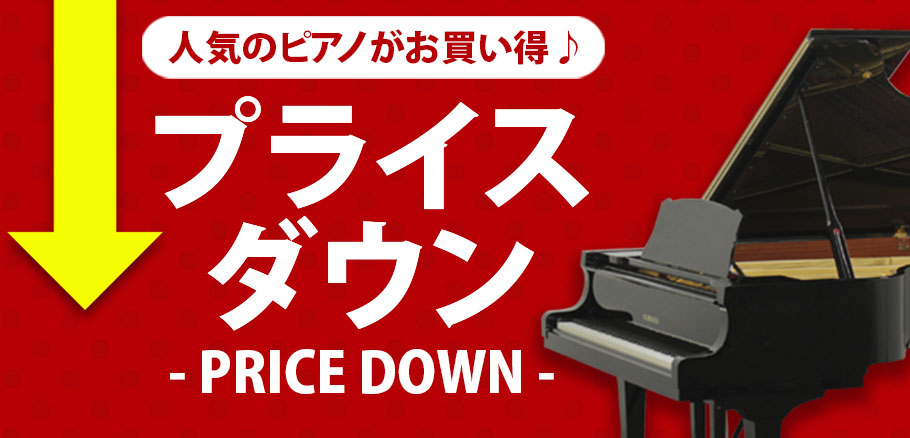 pricedown_banner_pc.jpg