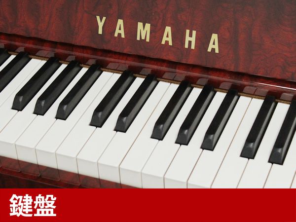 YAMAHA（ヤマハ）YU5Bb　鍵盤