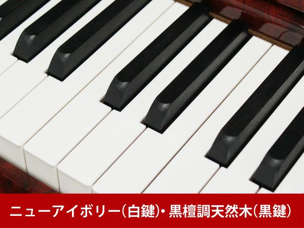 YAMAHA（ヤマハ）YU5Bb　ニューアイボリー