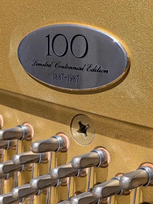 YAMAHA（ヤマハ） 微風（そよかぜ）アート 100周年記念 歴史的