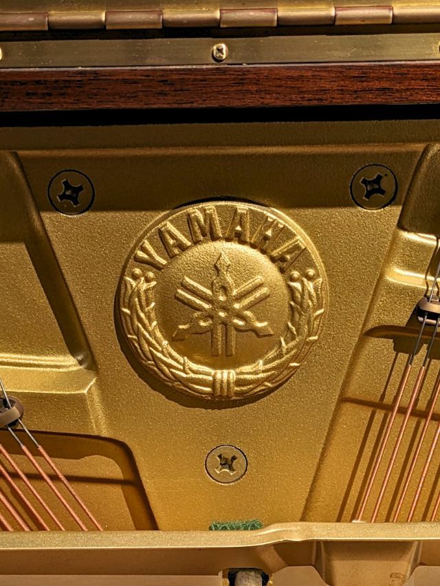 ✨新品 ✨ Yamaha ベースナチュラルウッド札幌 引取限定 新品 Yamaha ベースナチュラルウッド札幌 引取限定 YAMAHA / ヤマハ