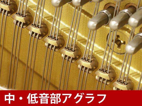 YAMAHA（ヤマハ）W303Wn　カスタムセレクション　アグラフ