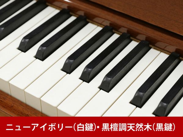 YAMAHA（ヤマハ）YU5CE　ニューアイボリー