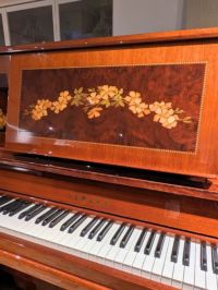 YAMAHA（ヤマハ）YU5CE　ニューアイボリー