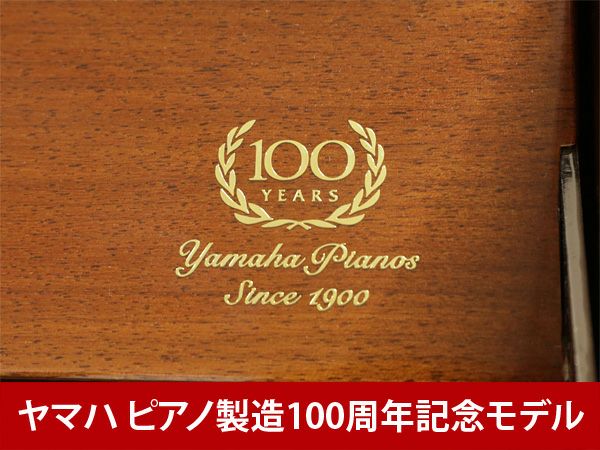 YAMAHA（ヤマハ）YU5CE　限定刻印