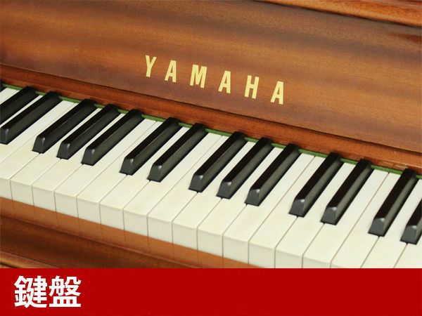 YAMAHA（ヤマハ）トラディショナル・インレイ　100周年記念　センチュリーカスタム　鍵盤