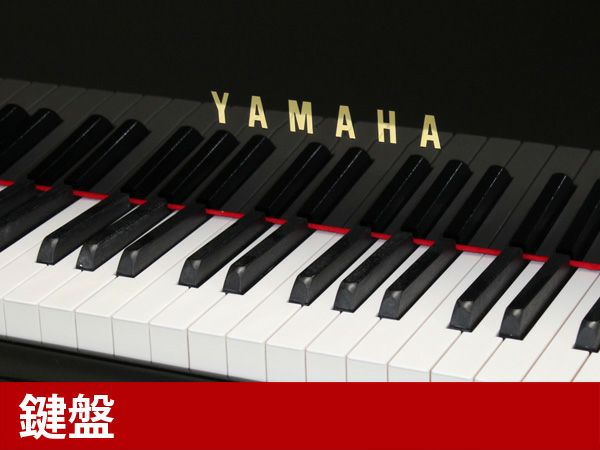 中古グランドピアノ　YAMAHA（ヤマハ）C3L　鍵盤