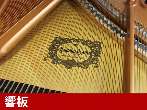 中古グランドピアノ　YAMAHA（ヤマハ）C3L　響板