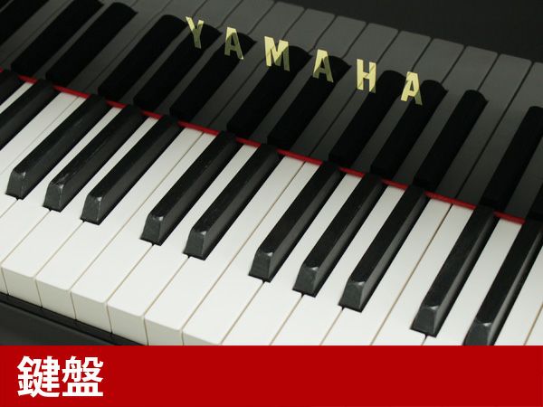 中古グランドピアノ　YAMAHA（ヤマハ）C3　鍵盤