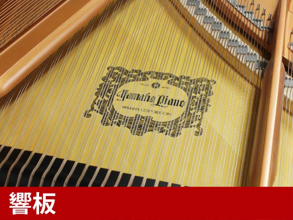 中古グランドピアノ　YAMAHA（ヤマハ）C3　響板