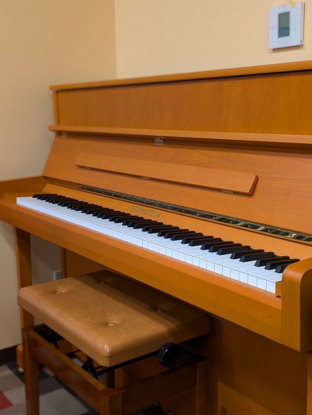 中古ピアノ BECHSTEIN（ベヒシュタイン）A3 「ベヒシュタイン  