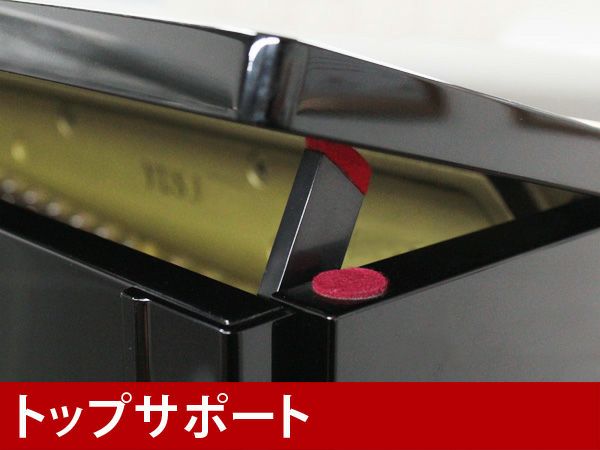 YAMAHA（ヤマハ）YUS3_トップサポート