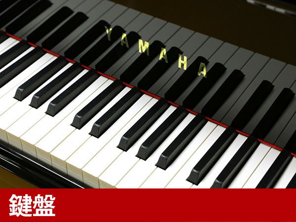 中古グランドピアノ　YAMAHA（ヤマハ）C5X　鍵盤