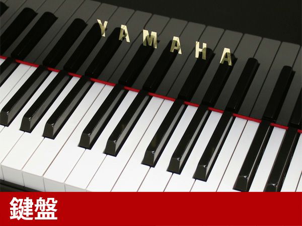 中古グランドピアノ　YAMAHA（ヤマハ）A1L　鍵盤