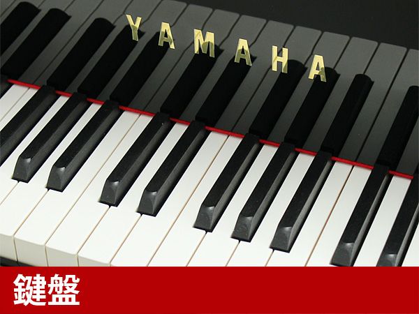 中古グランドピアノ　YAMAHA（ヤマハ）C5LA　鍵盤1