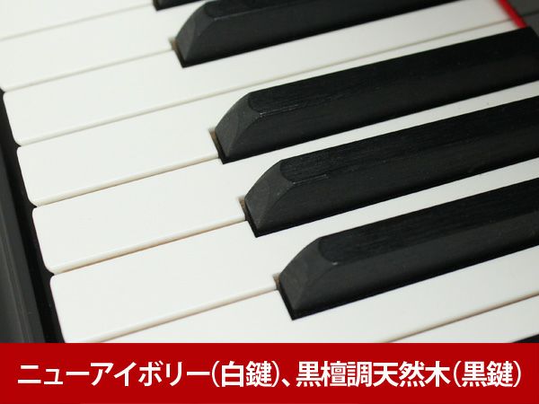 中古グランドピアノ　YAMAHA（ヤマハ）C5LA　鍵盤2