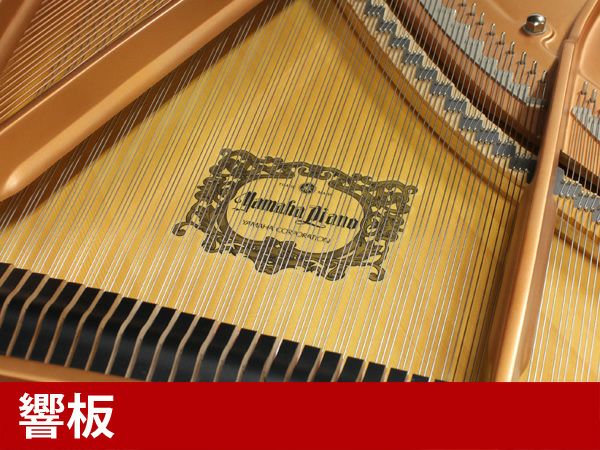 中古グランドピアノ　YAMAHA（ヤマハ）C5LA　響板