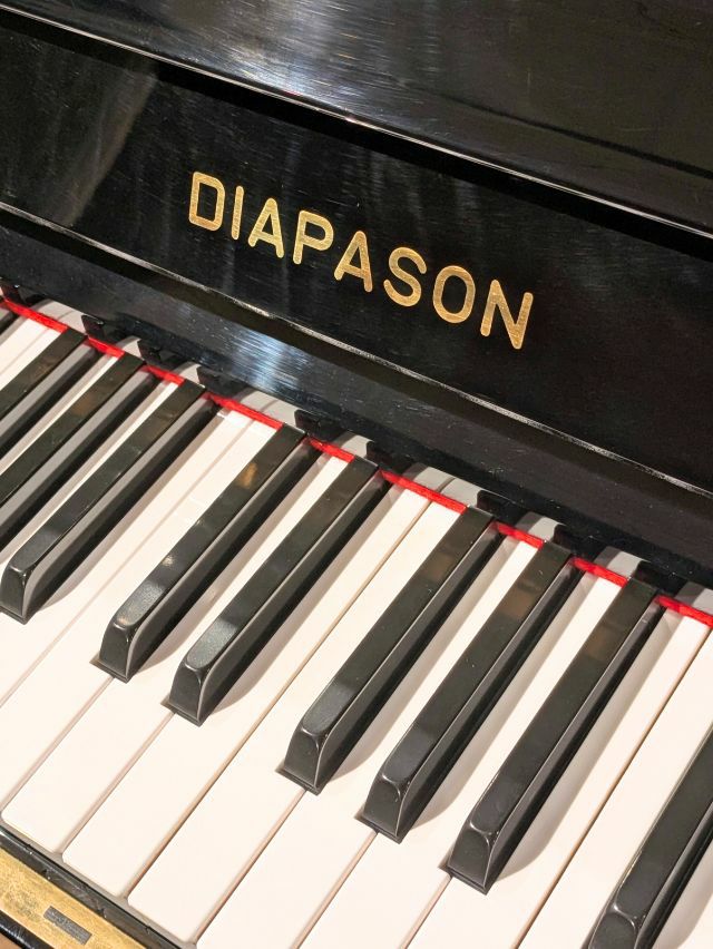 DIAPASON（ディアパソン）DR125BF　鍵盤