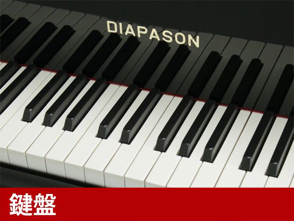 中古グランドピアノ　DIAPASON（ディアパソン）DR300　鍵盤