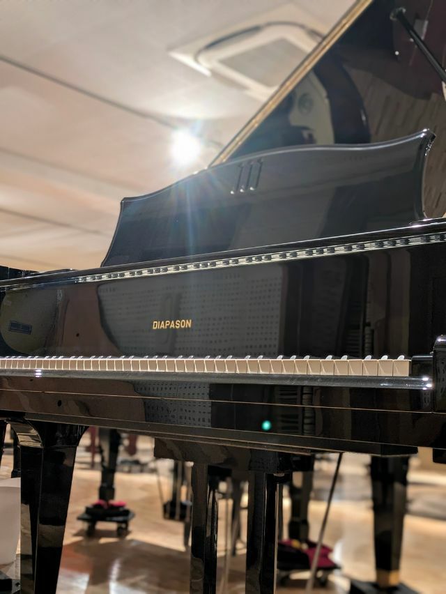 中古グランドピアノ　DIAPASON（ディアパソン）D171BG　本体