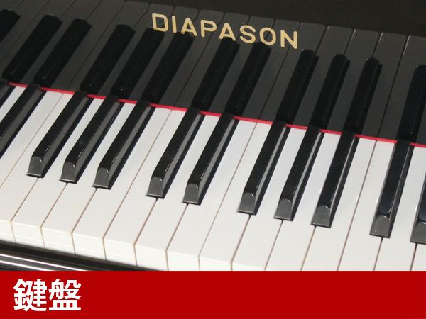 中古グランドピアノ　DIAPASON（ディアパソン）D171BG　鍵盤