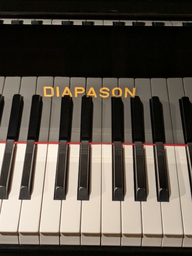 中古グランドピアノ　DIAPASON（ディアパソン）D171BG　鍵盤