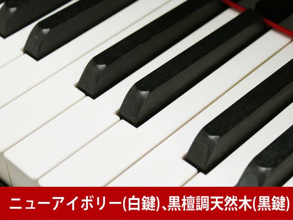 中古グランドピアノ　YAMAHA（ヤマハ）S4B　鍵盤2