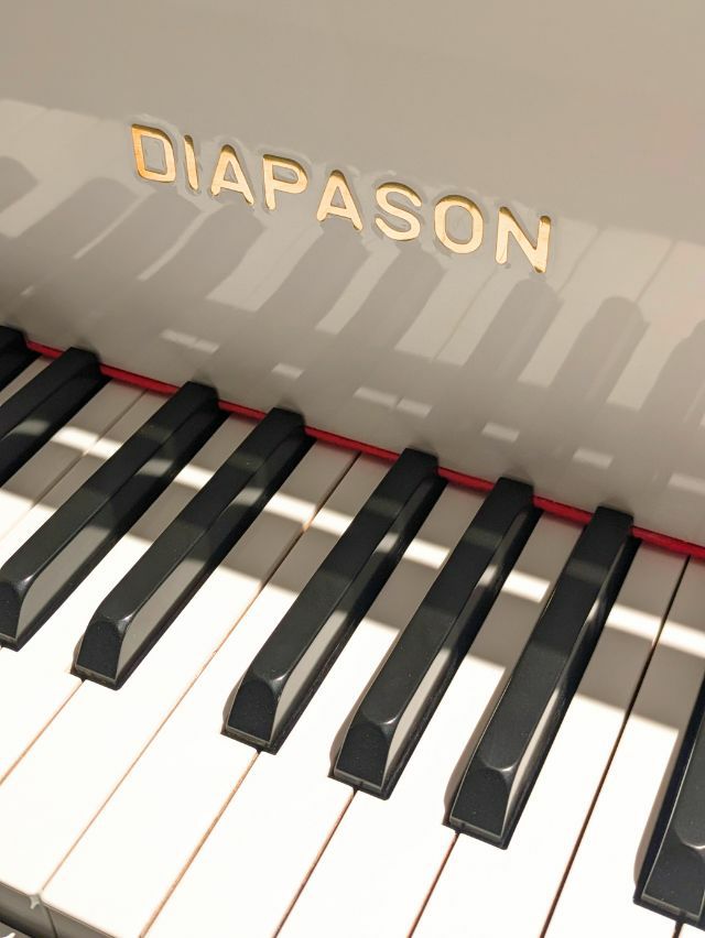 中古グランドピアノ　DIAPASON（ディアパソン）183E　ブランドロゴ