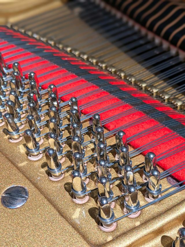 DIAPASON 183-C グランドピアノ ディアパソン DG-183 : 古河ピアノガーデンYahoo!ショップ