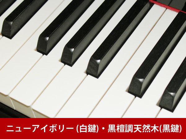中古グランドピアノ　YAMAHA(ヤマハ）S6B　鍵盤2