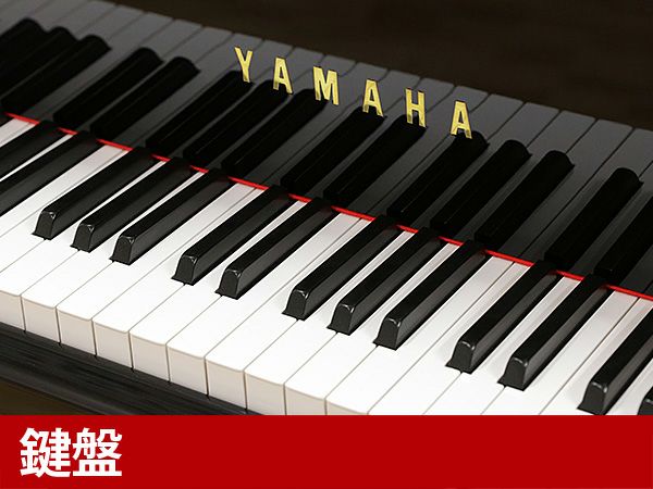 YAMAHA（ヤマハ）G2E　鍵盤