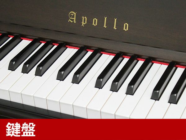 APOLLO（アポロ）W700TS　鍵盤