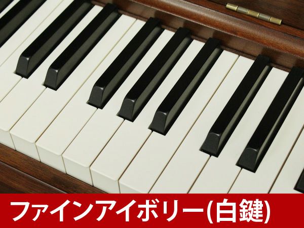 KAWAI（カワイ）Ki65FN　ファインアイボリー