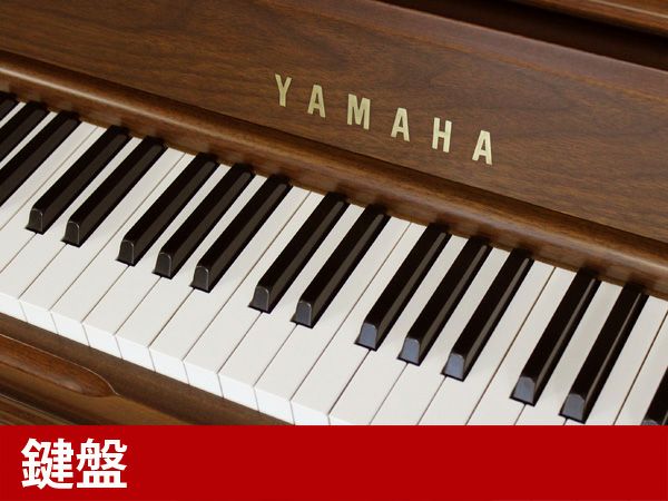 YAMAHA（ヤマハ）WX3AWn　鍵盤