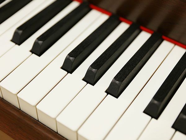 YAMAHA（ヤマハ）C3アメリカンウォルナット　ニューアイボリー、黒檀調黒鍵