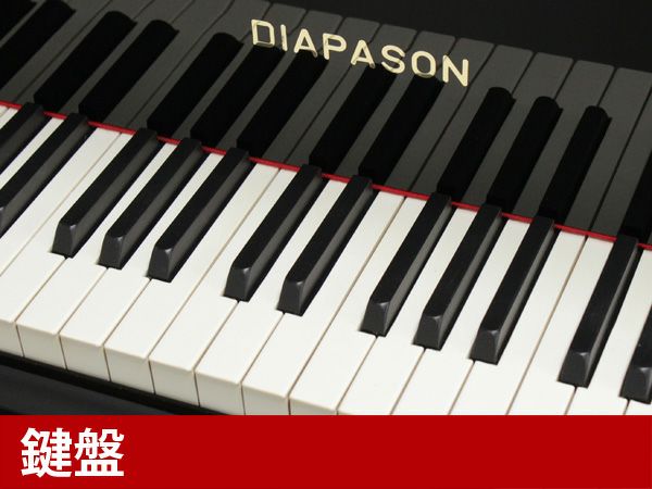  中古グランドピアノ　DIAPASON（ディアパソン）DR5BG　鍵盤
