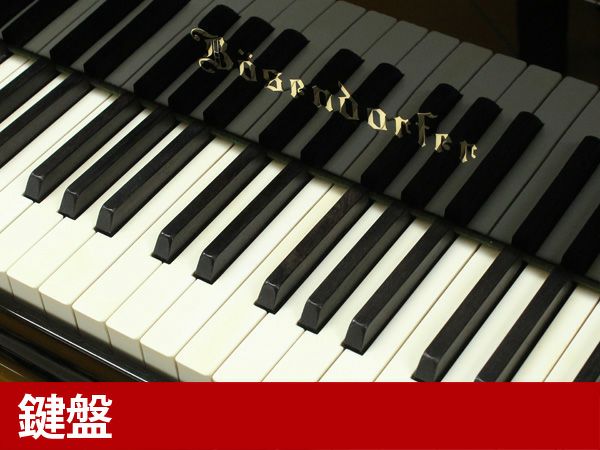 中古グランドピアノ　BOSENDORFER（ベーゼンドルファー）200　鍵盤