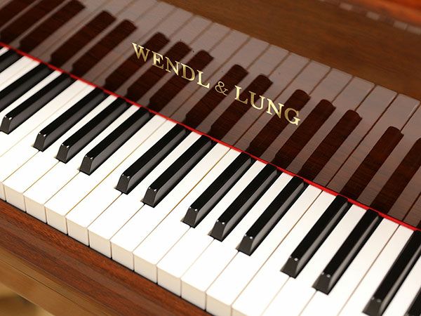 WENDL&LUNG（ウェンドル＆ラング）AG151CW　鍵盤