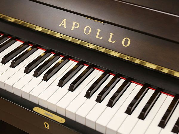 APOLLO（アポロ）RU385ZW　鍵盤