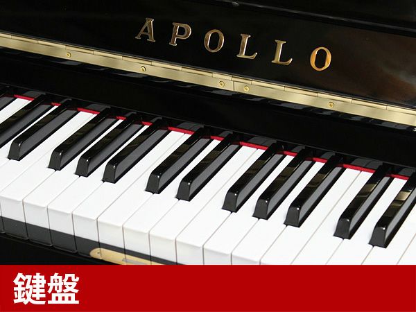 APOLLO（アポロ）RU350E　鍵盤