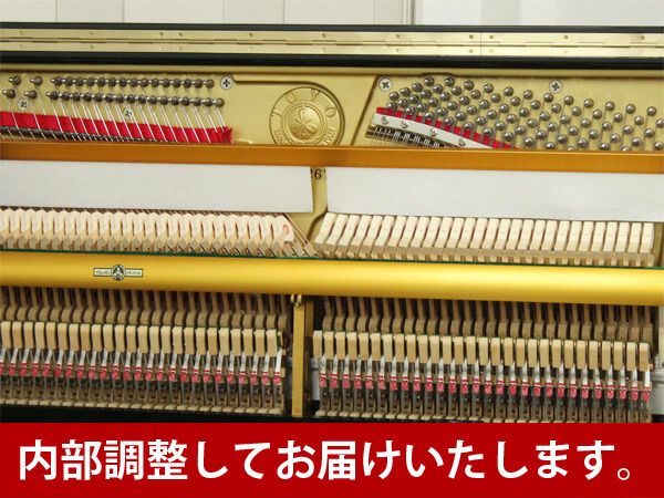 APOLLO（アポロ）RU350E　内部