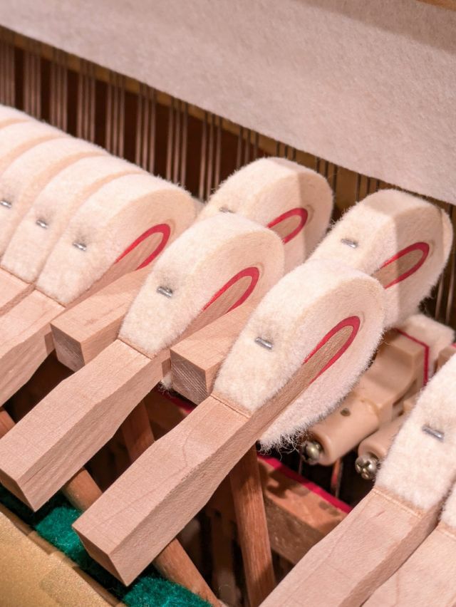 MARCHEN（メルヘン）MS230_弦