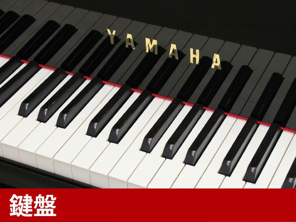 YAMAHA（ヤマハ）C3LA　期間限定のC3「Artistic Edition」_鍵盤