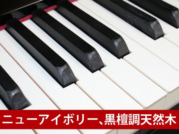 中古ピアノ YAMAHA（ヤマハ）YU3C ヤマハピアノ製造100周年記念特別モデル | 中古ピアノ・新品ピアノ販売専門店  グランドギャラリーオンラインショップ