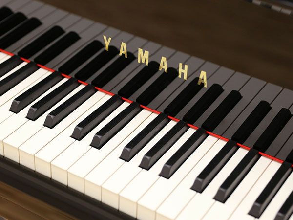 YAMAHA（ヤマハ）C1X-TA2　鍵盤