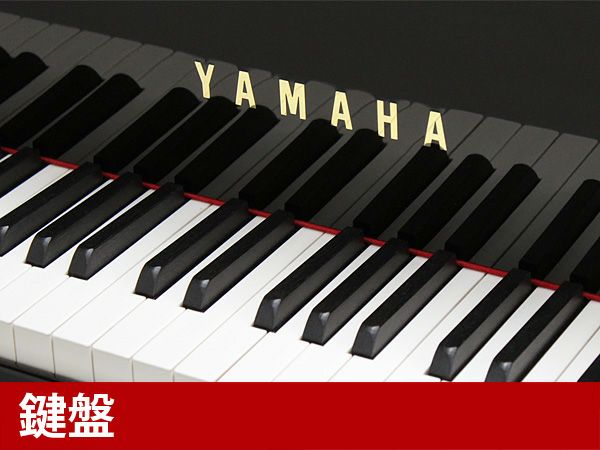 YAMAHA（ヤマハ）C7L_鍵盤
