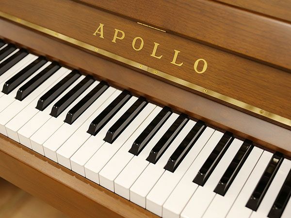 APOLLO（アポロ）SR560_鍵盤