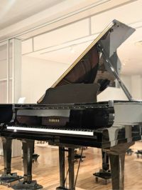 YAMAHA（ヤマハ）G1E_本体