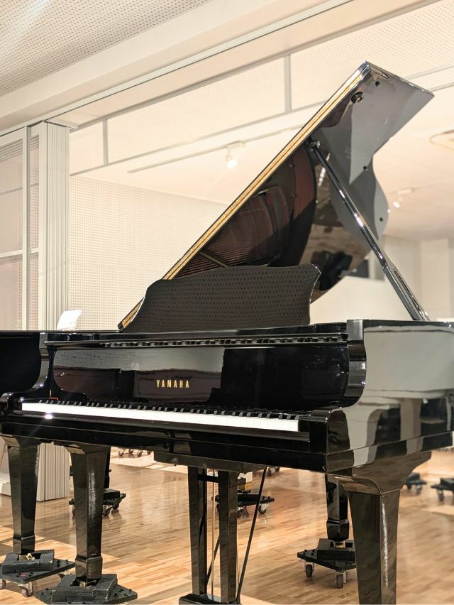 YAMAHA（ヤマハ）G1E_本体