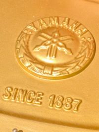 YAMAHA（ヤマハ）G1E_弦